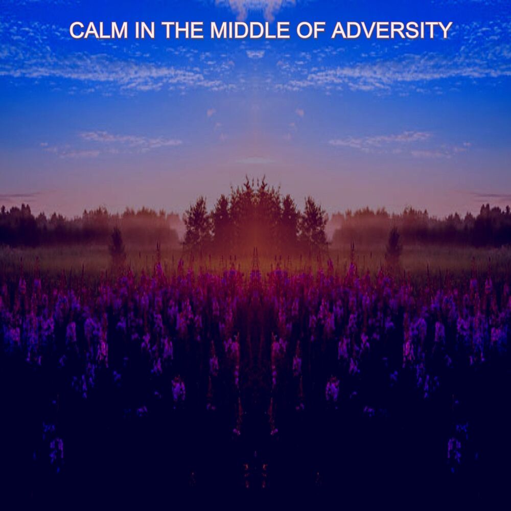 Picture of Calm in the Middle of Adversity