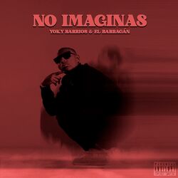 Cover of No Imaginas