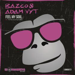 Cover of Feel My Soul