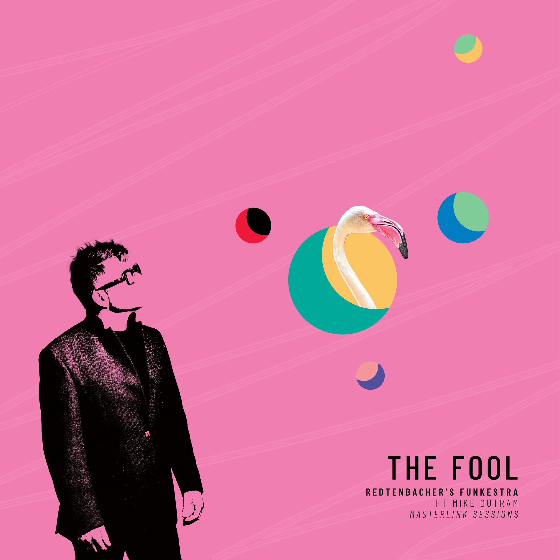 Album cover of The Fool (Masterlink Sessions)