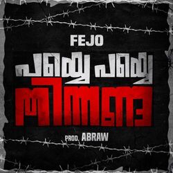 Cover of Payye Payye Thinnanda (feat. ABRAW)