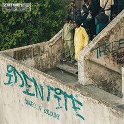 Cover of Identité