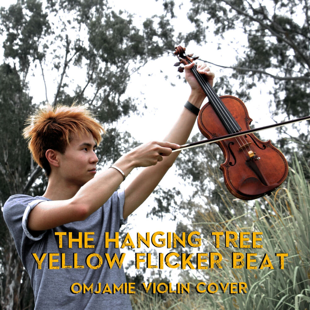 Picture of The Hanging Tree/Yellow Flicker Beat (Violin Cover) (From Hunger Games)