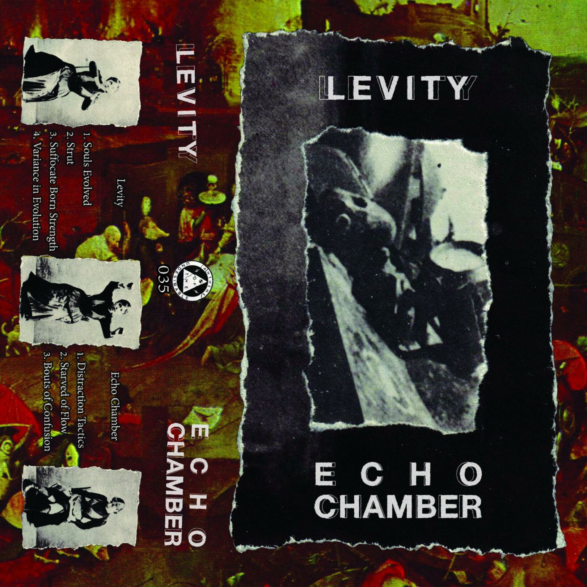Album cover of Levity / Echo Chamber Split