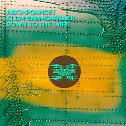 Cover of Down to the Wire