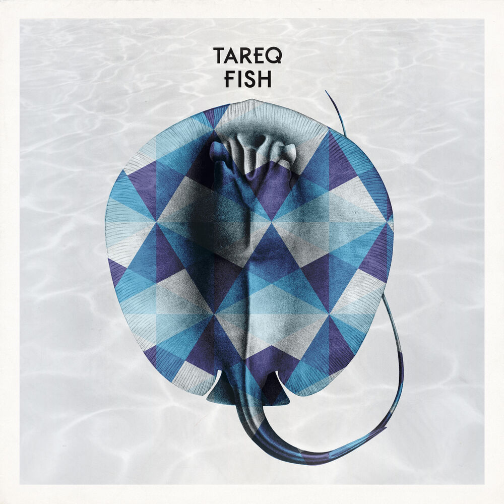 Picture of Fish
