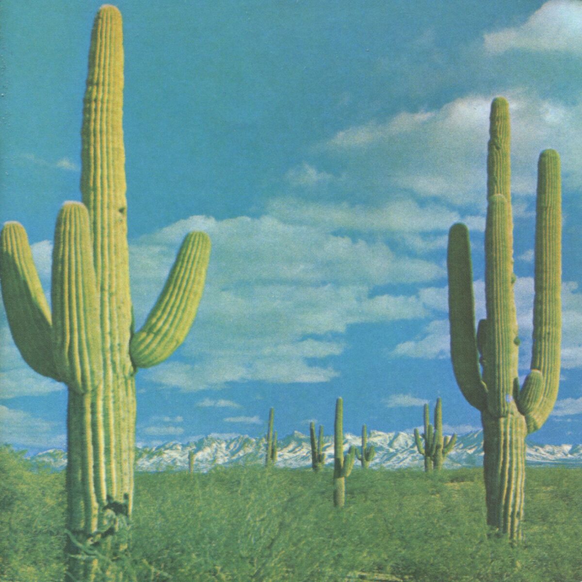 Album cover of Light Me