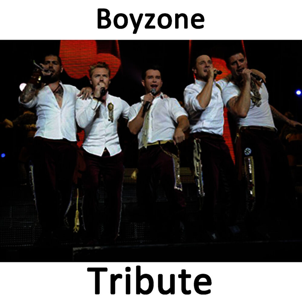 Picture of All That I Need: Tribute to Boyzone