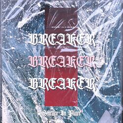 Cover of Shelter In Place