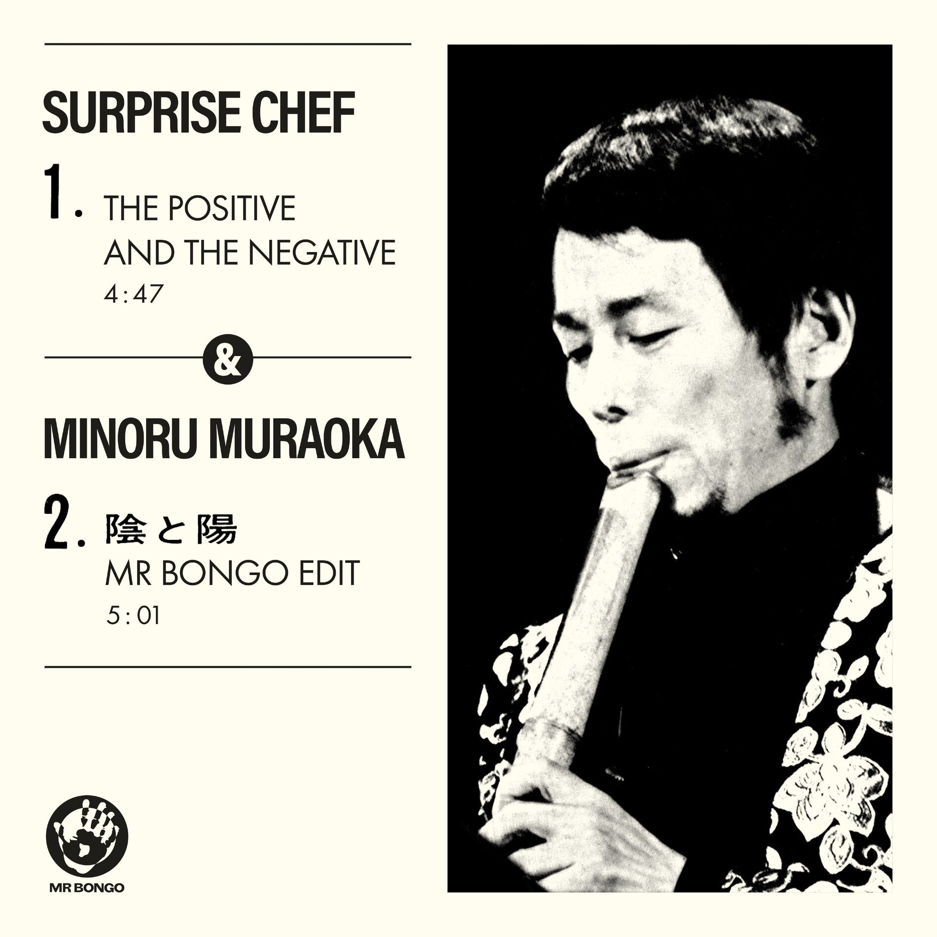 Album cover of The Positive and the Negative