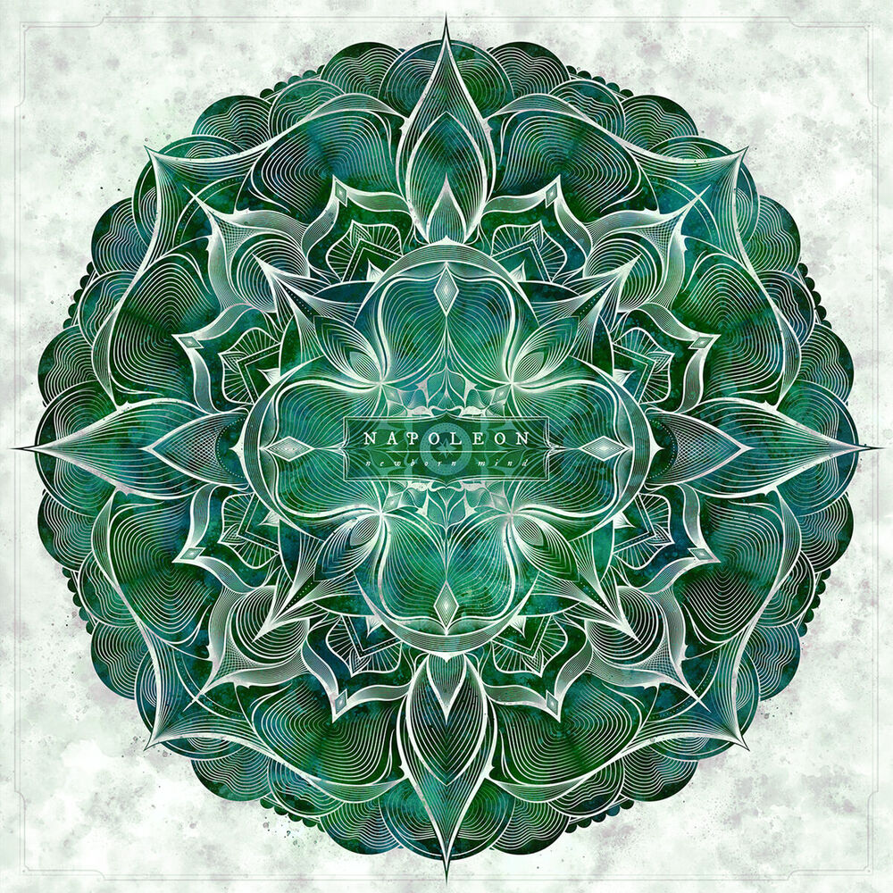 Picture of Newborn Mind