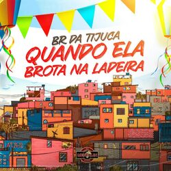 Cover of Quando Ela Brota na Ladeira