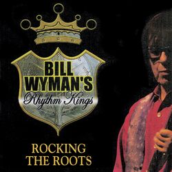 Cover of Rocking the Roots