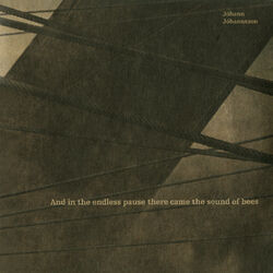 Cover of And In The Endless Pause There Came The Sound Of Bees (Original Soundtrack)