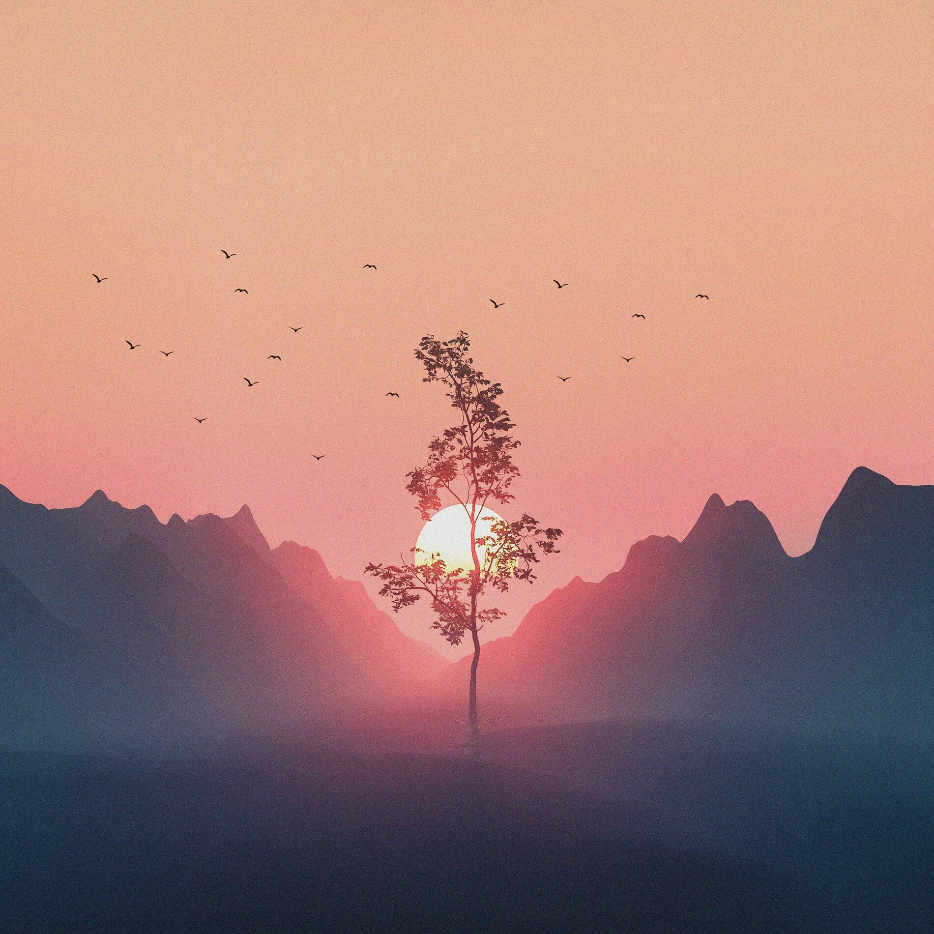 Album cover of morning light