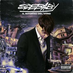 Cover of IL RITORNO DEL VERO