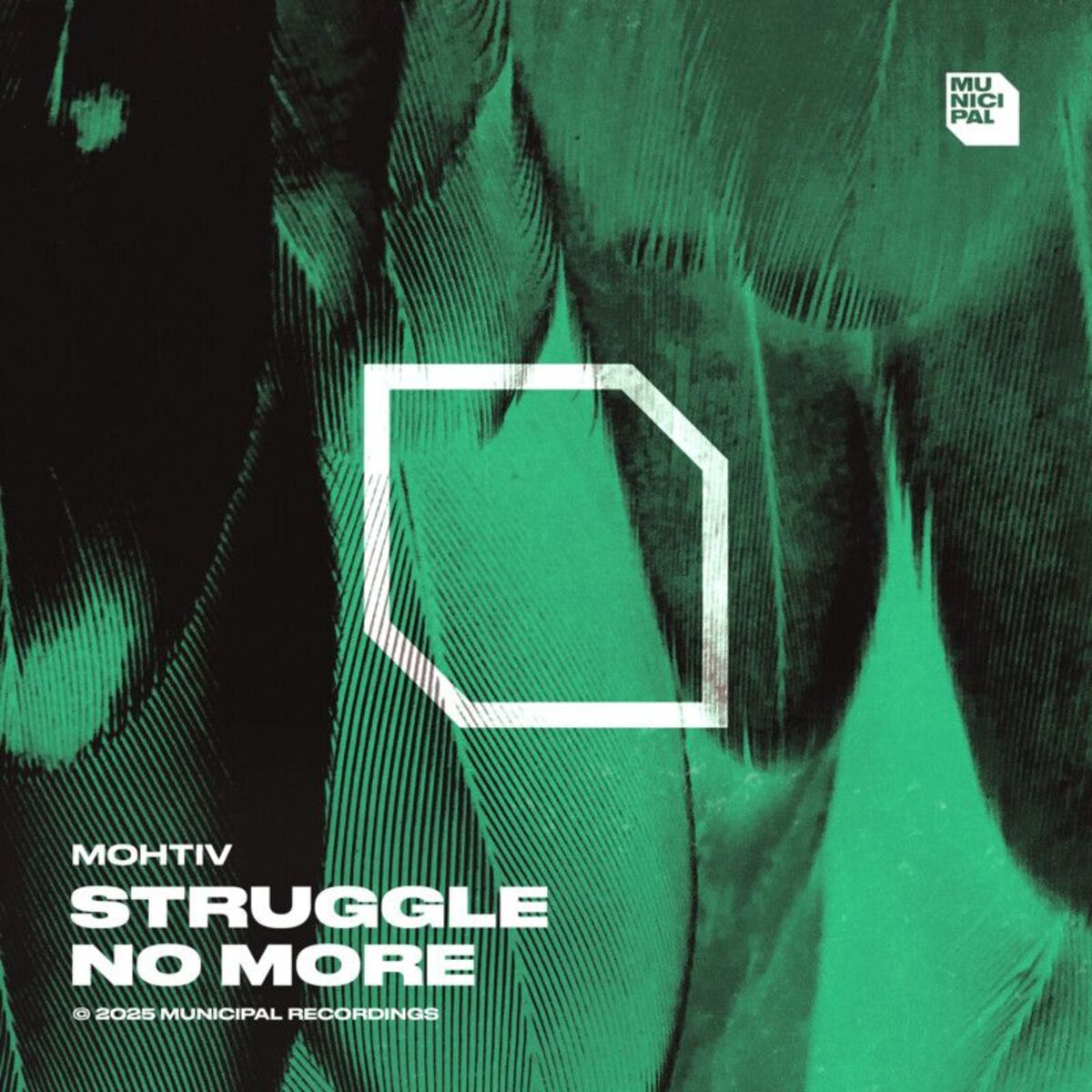 Album cover of Struggle No More