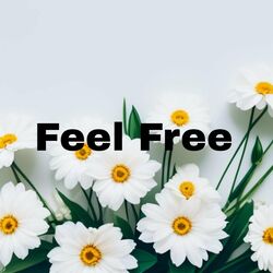 Cover of Feel Free