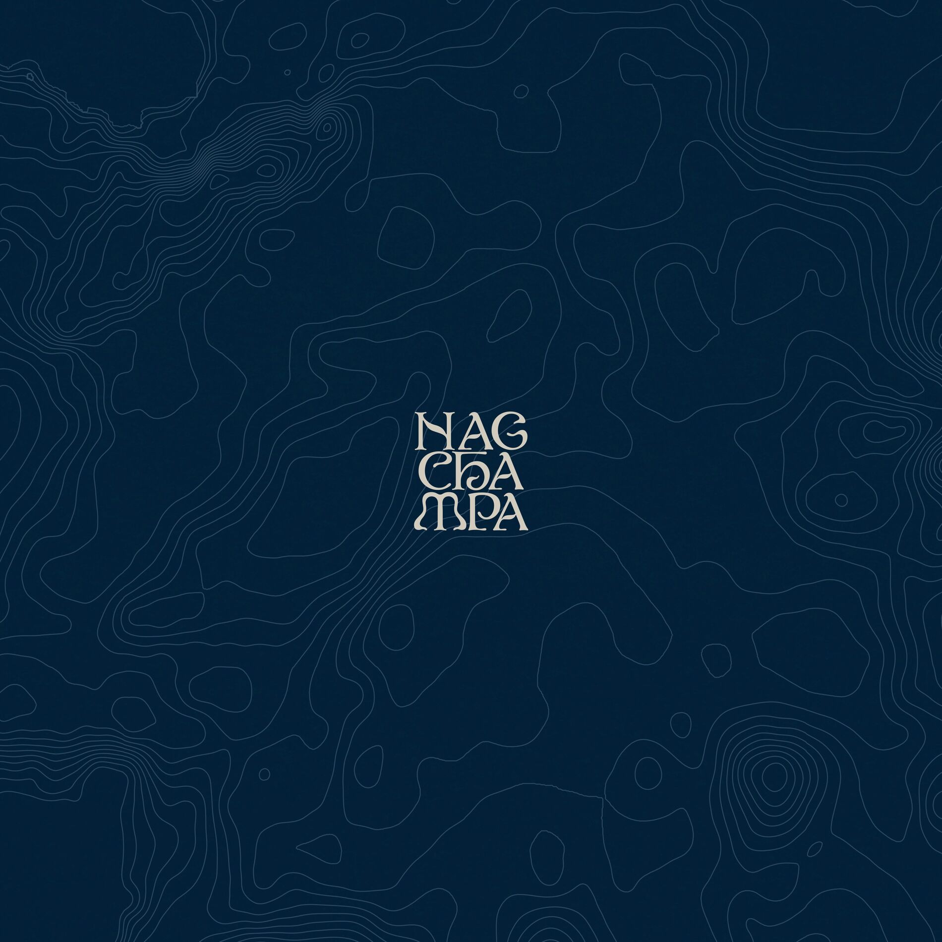 Album cover of nag champa