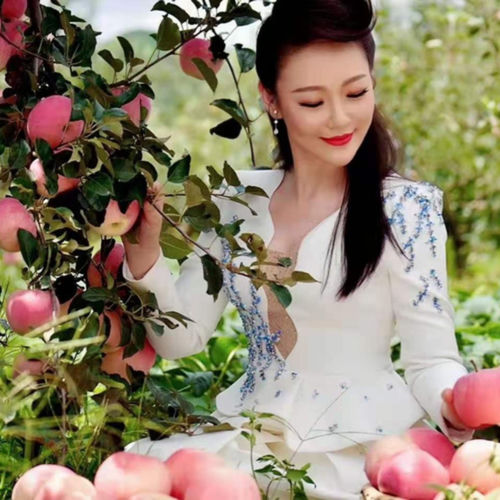 苹果花开在南方