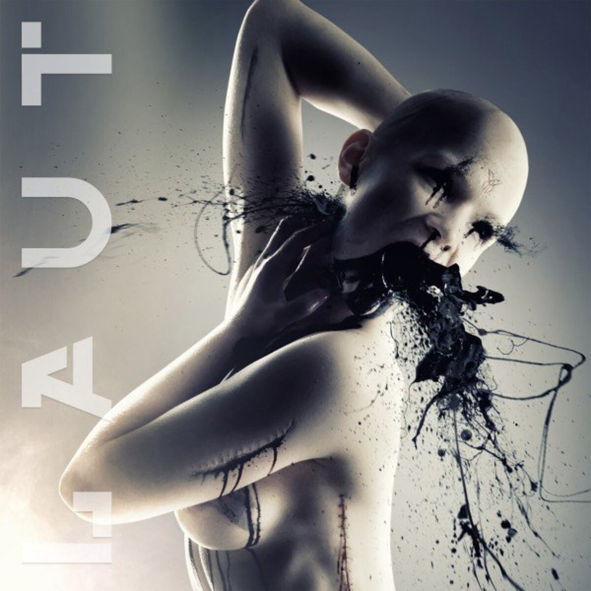 Album cover of Laut