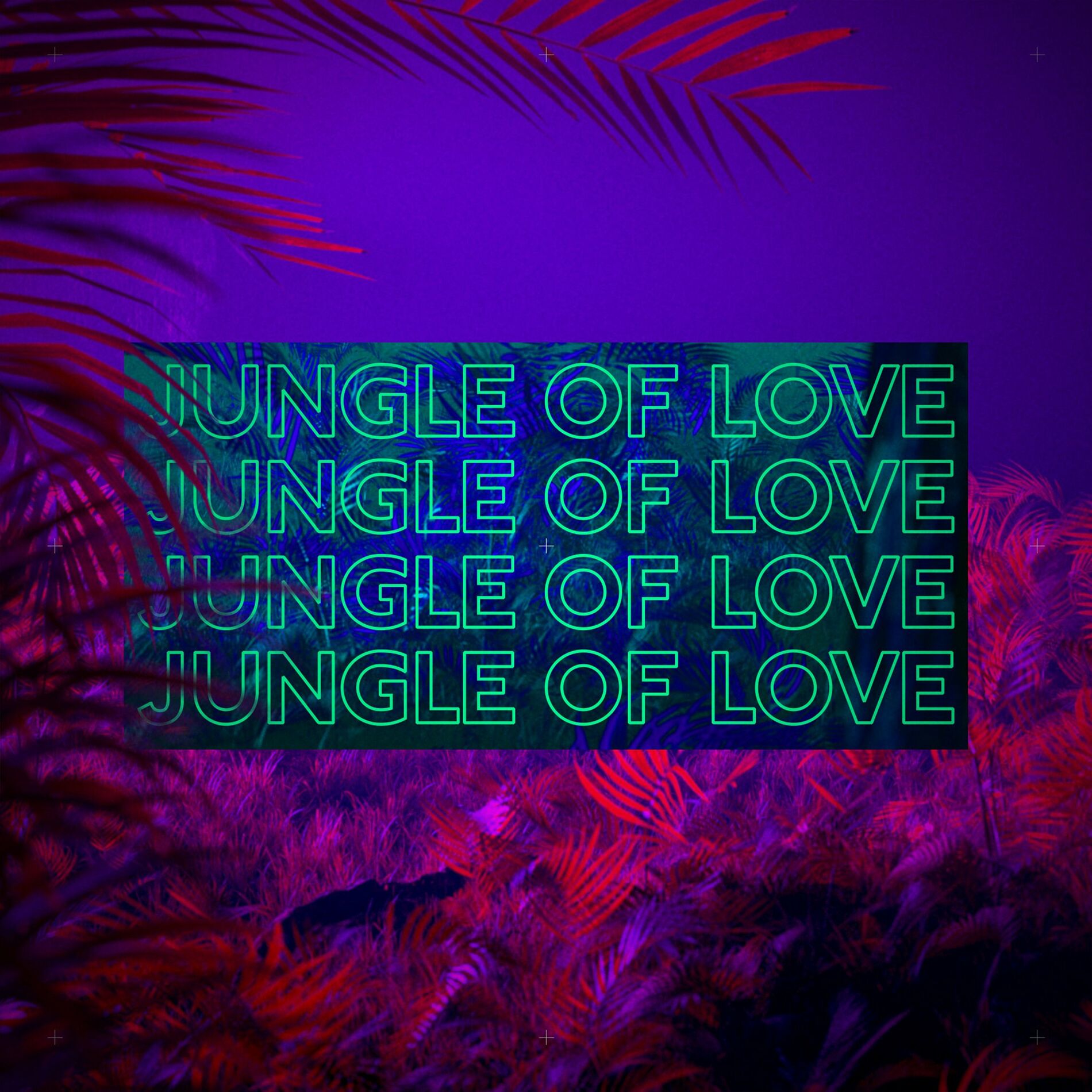 Album cover of Jungle of Love