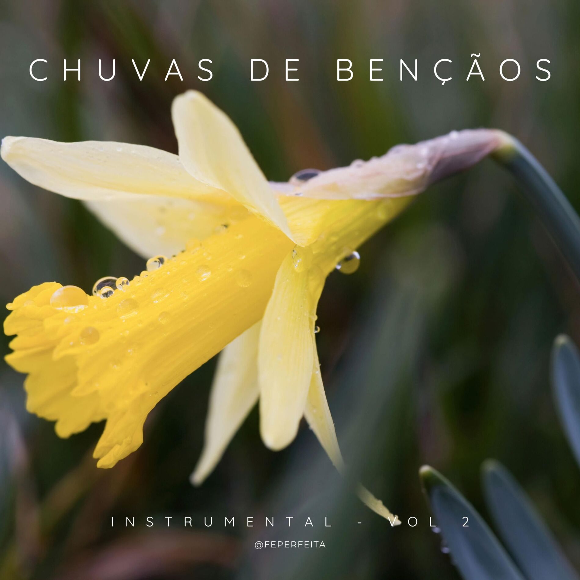 Album cover of Chuvas de bençãos (Instrumental)