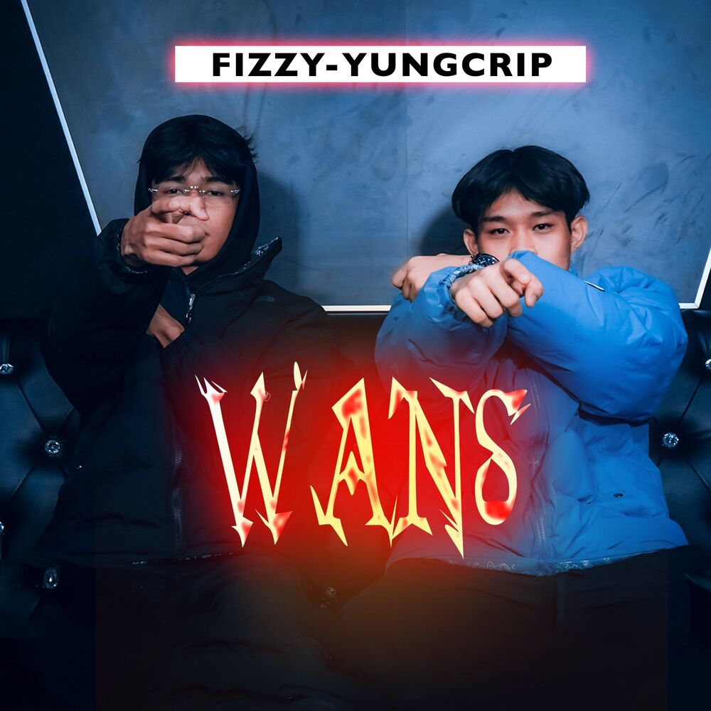 Picture of WANS