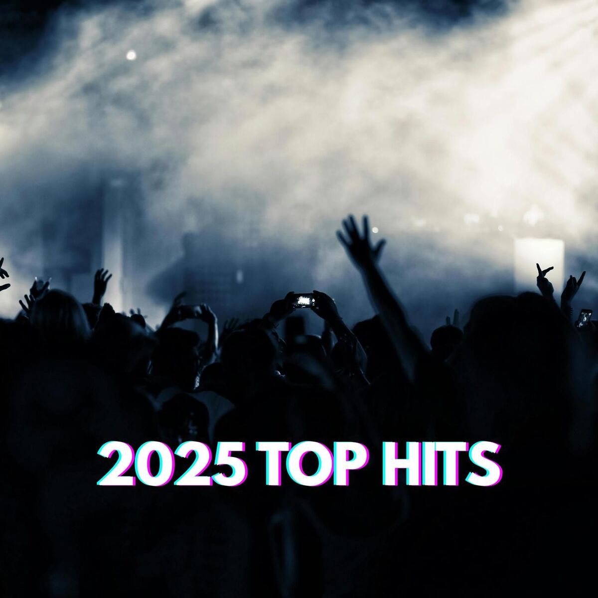 Album cover of 2025 TOP HITS
