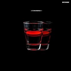 Cover of Double Vision