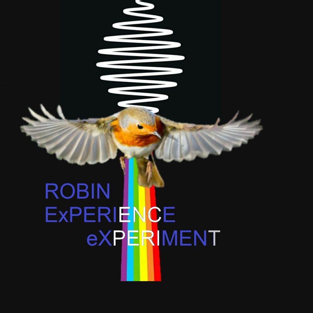 Picture of Robin Experience eXperiment
