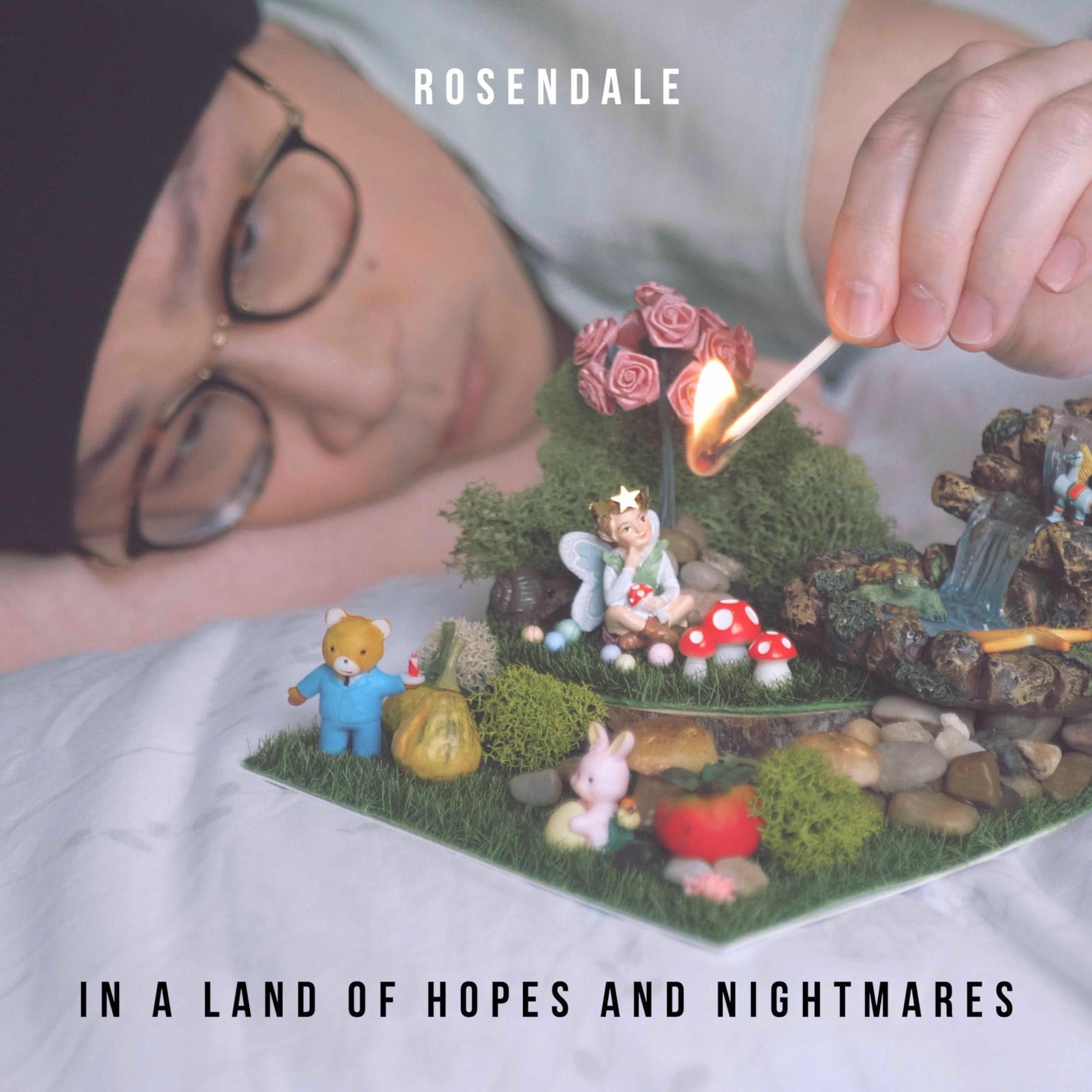 Album cover of In a Land of Hopes and Nightmares
