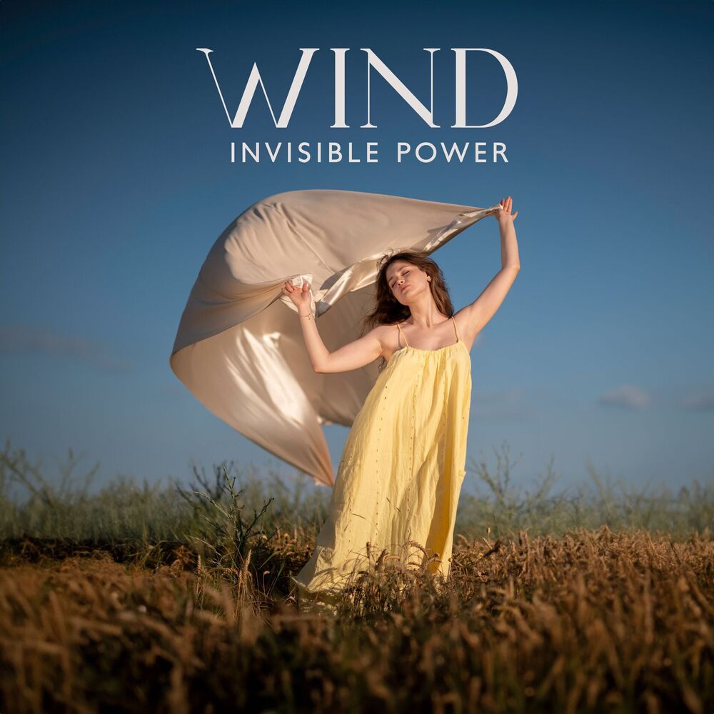 Picture of Wind: Invisible Power