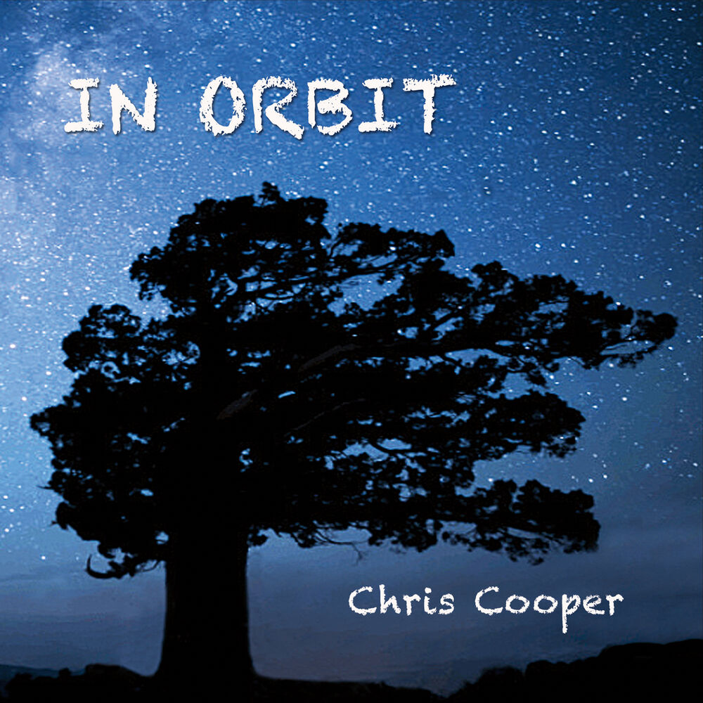 Picture of In Orbit