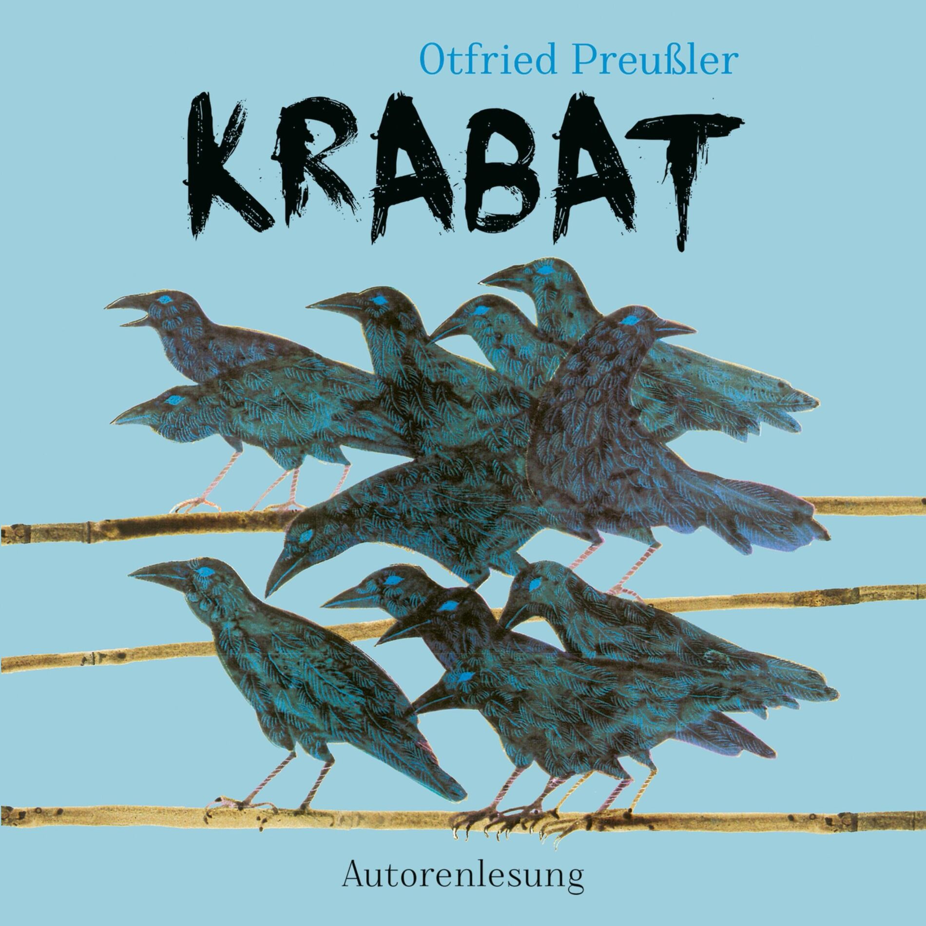 Album cover of Krabat - Das 1. Jahr - Teil 01