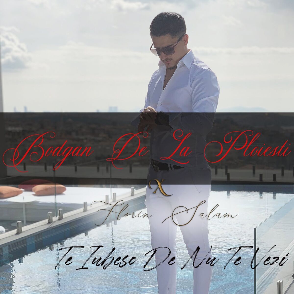 Album cover of Te Iubesc De Nu Te Vezi