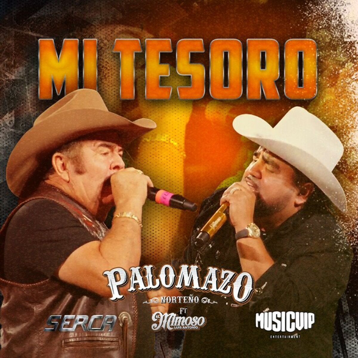 Album cover of Mi Tesoro (EN VIVO DESDE EL DOMO CARE)