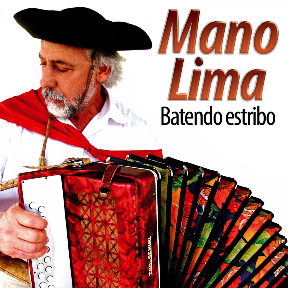 Album cover of Batendo Estribo
