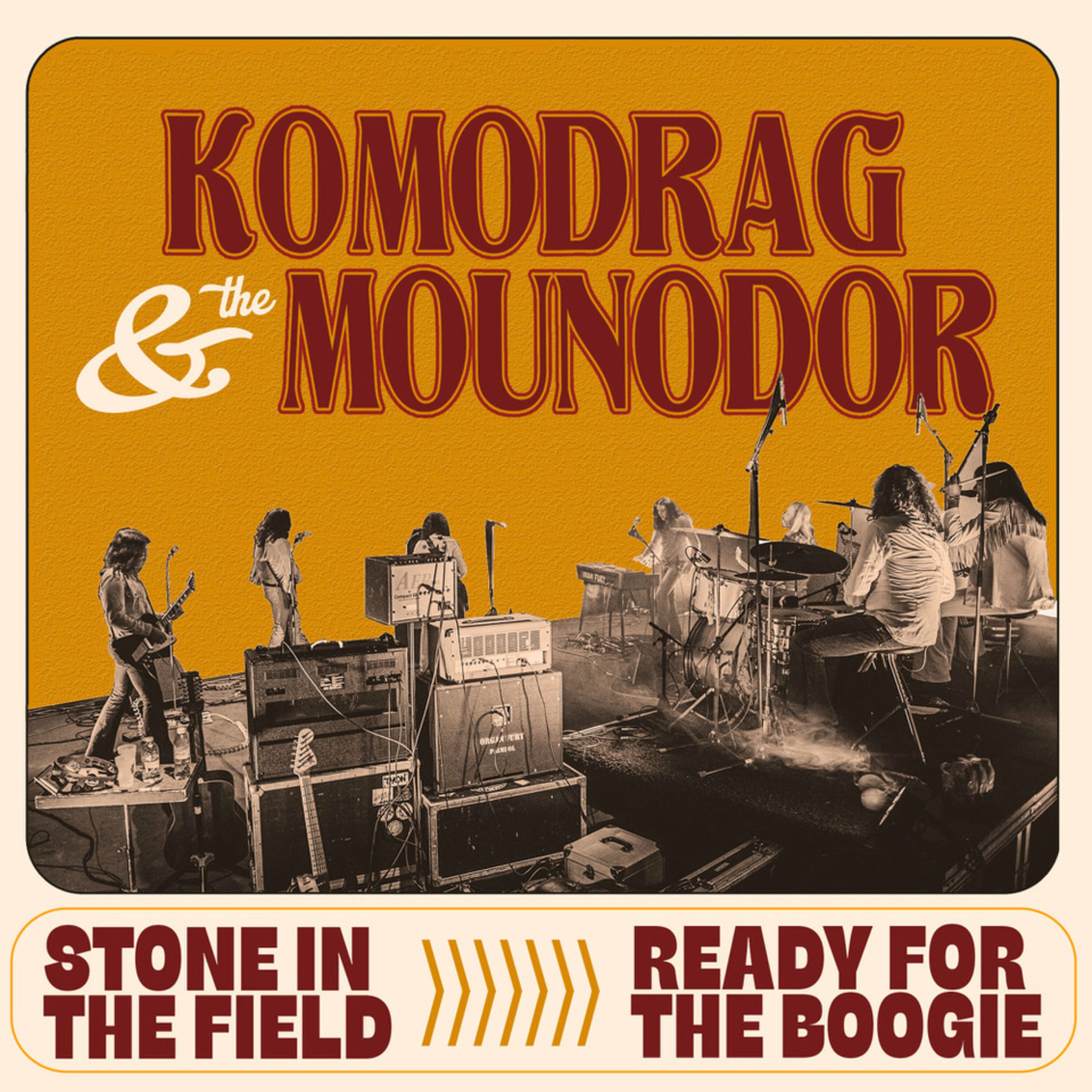 Album cover of STONE IN THE FIELD