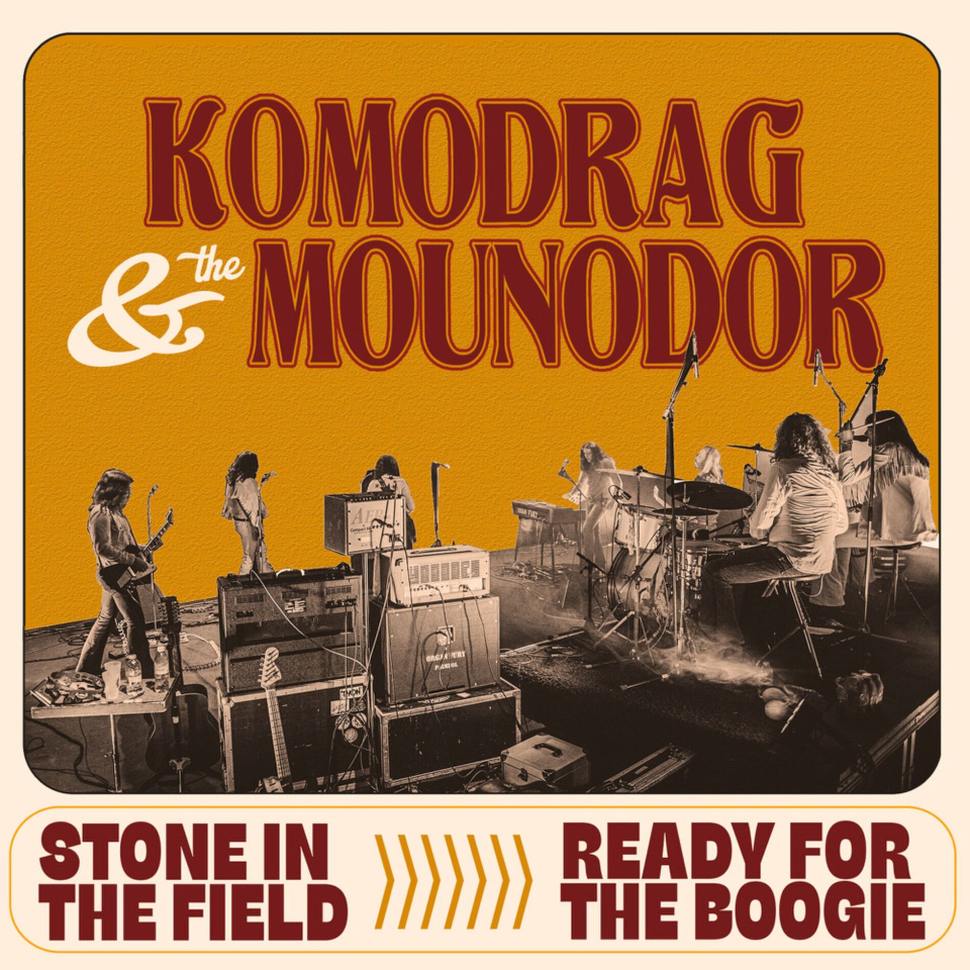 Album cover of STONE IN THE FIELD