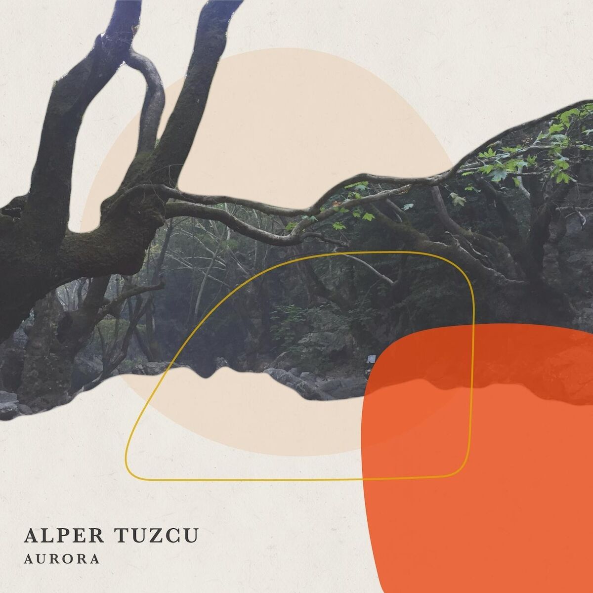 Album cover of Aurora