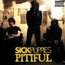 Cover of Pitiful