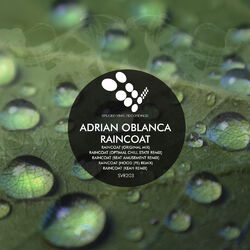 Cover of Raincoat