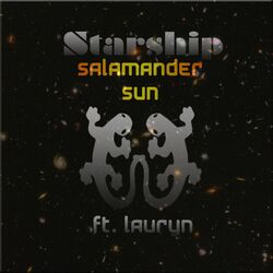 Cover of Starship