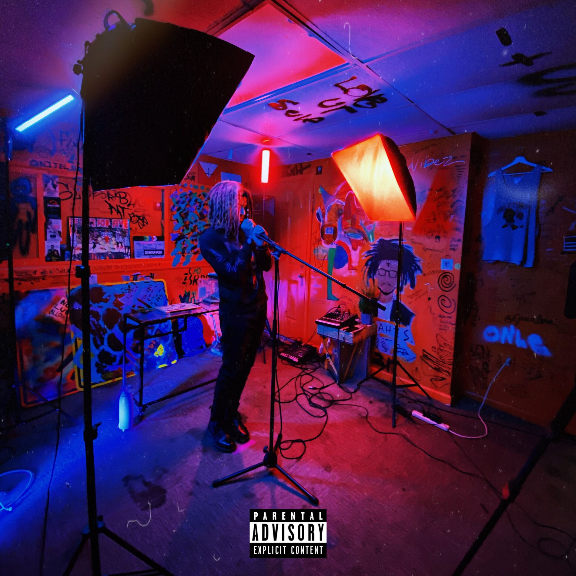 Album cover of BARELY SOBER...