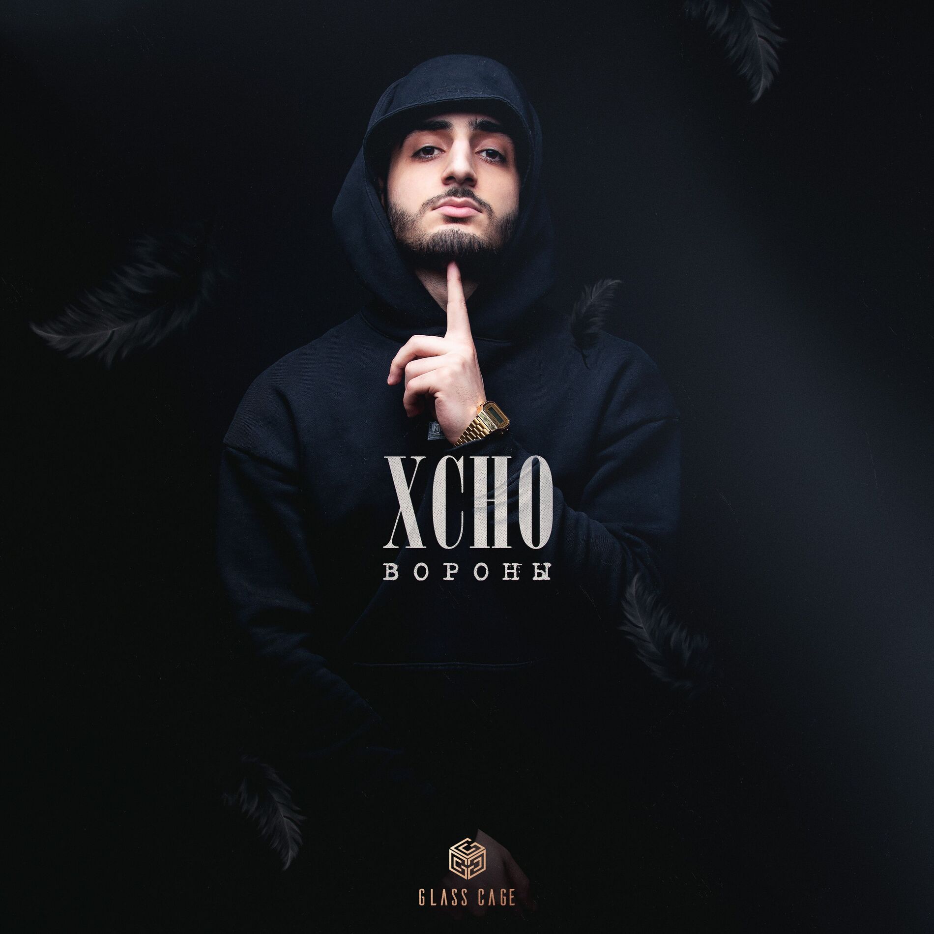 Album cover of Вороны