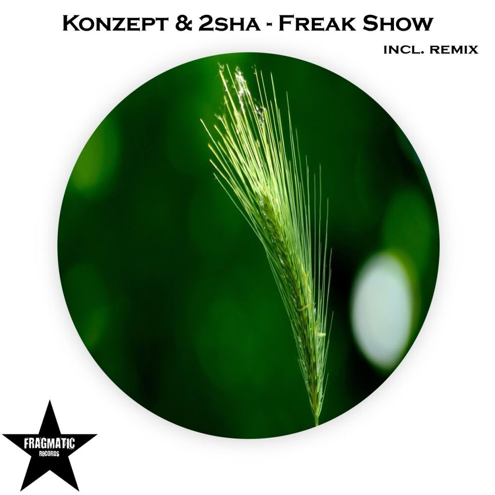 Picture of Freak Show
