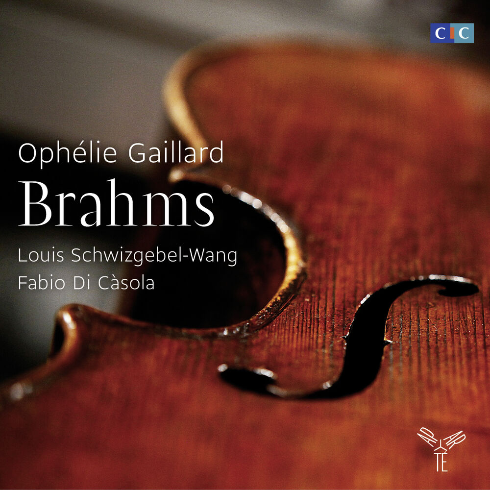 Picture of Brahms