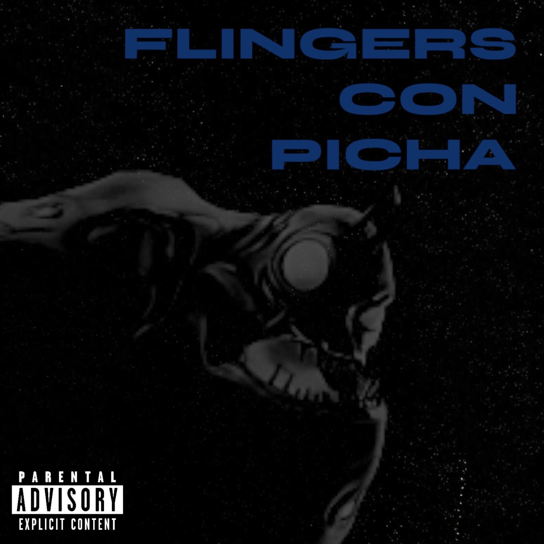 Album cover of Flingers Con Picha
