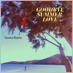 Cover of Goodbye Summer Love